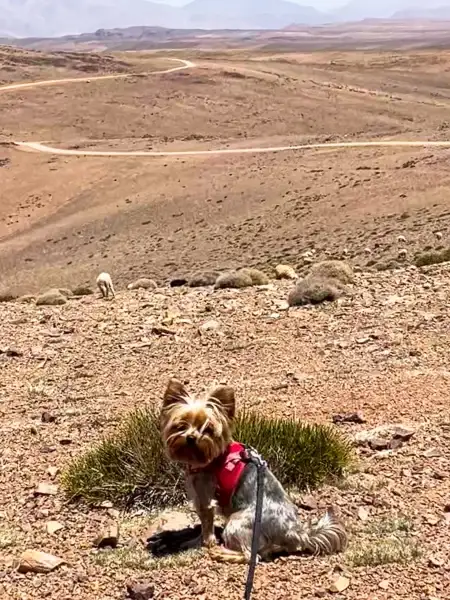 4x4 maroc Pixie