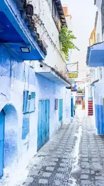 Avenue moderne au Maroc