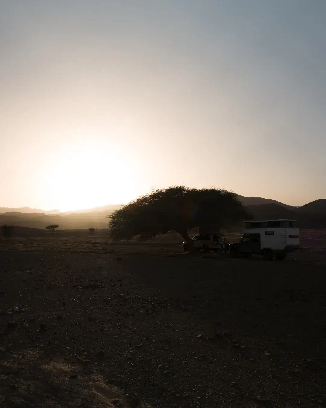 Bivacco all'ombra di un'acacia nel deserto del Marocco