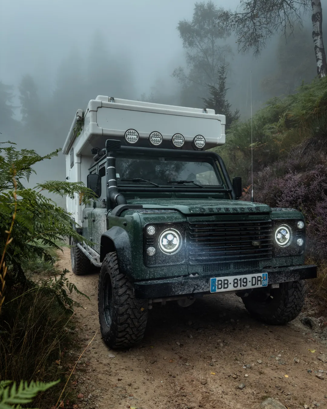 Driving through the wilderness